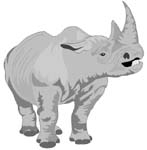 rhino 